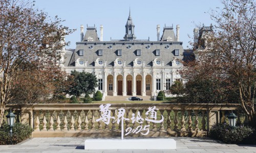 国产豪车驶入顶级圈层，高净值人群有了新选择